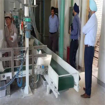 mi-01-auto-feed-packing-machine