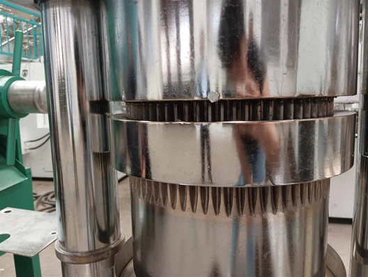 IMG20230418134832 IMG20230418134832