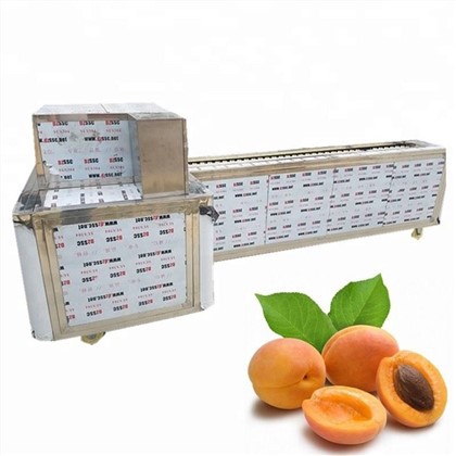 دستگاه حفره زردآلو