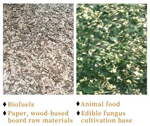 Best Quality Tree Branch Shredder Machine